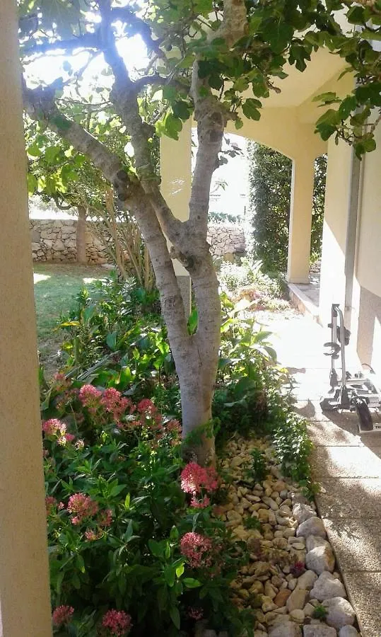 Apartment House Nono Povljana Croazia
